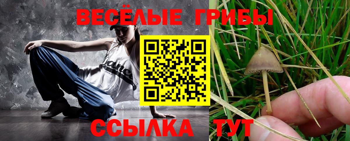 Псилоцибиновые грибы Cubensis  Псилоцибиновые грибы Psilocybe  Вход с VPN  купить наркотики сайты  Десногорск 